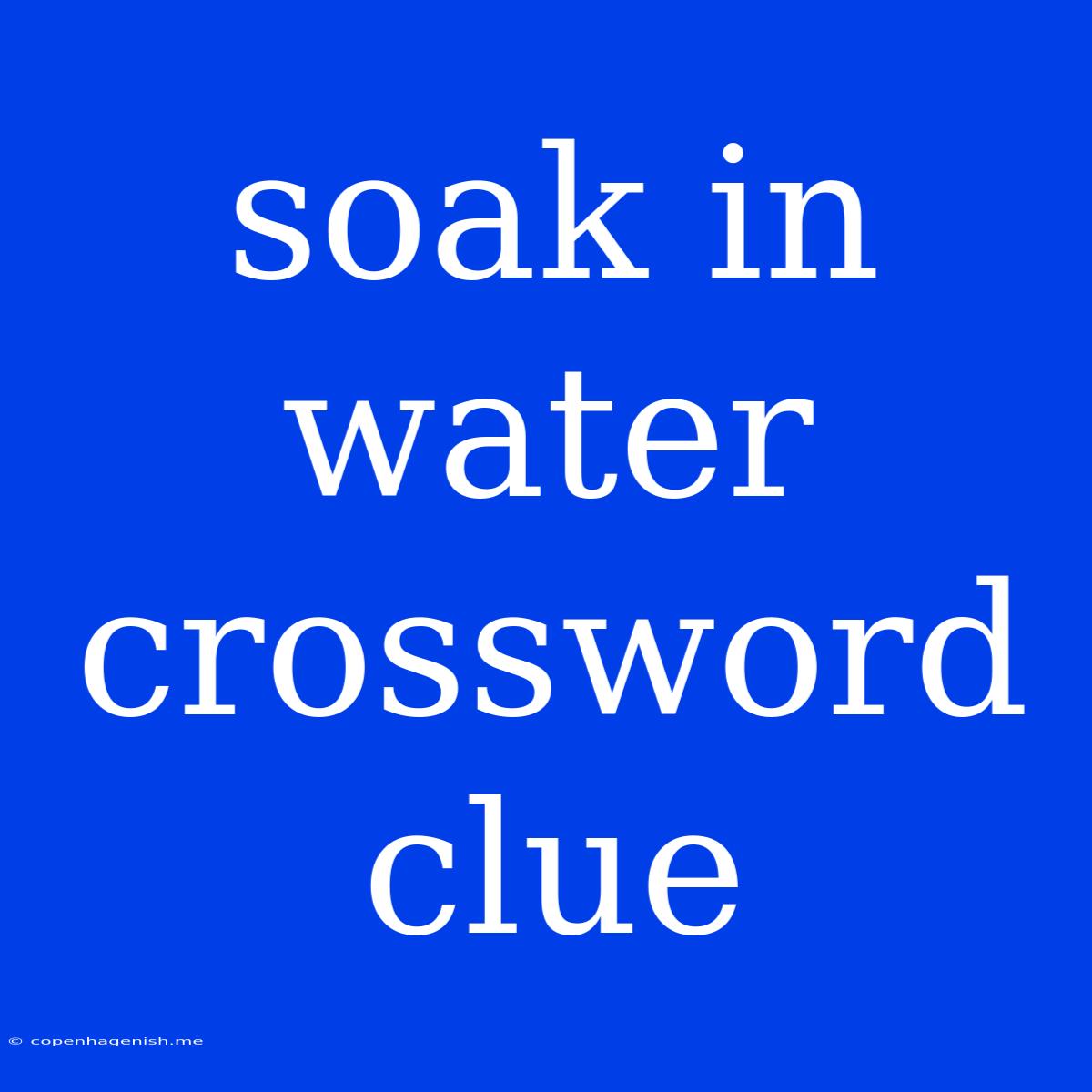 Soak In Water Crossword Clue