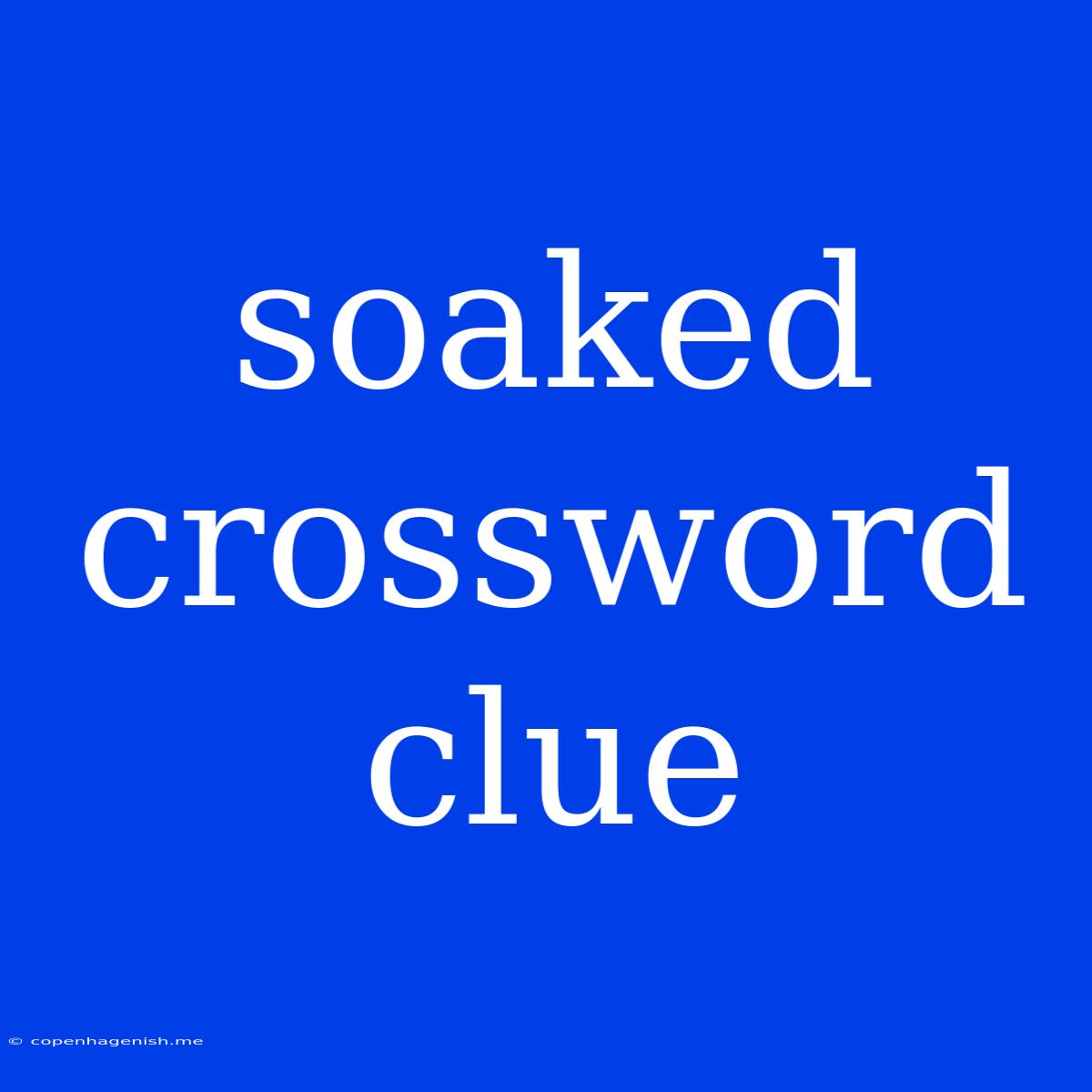 Soaked Crossword Clue