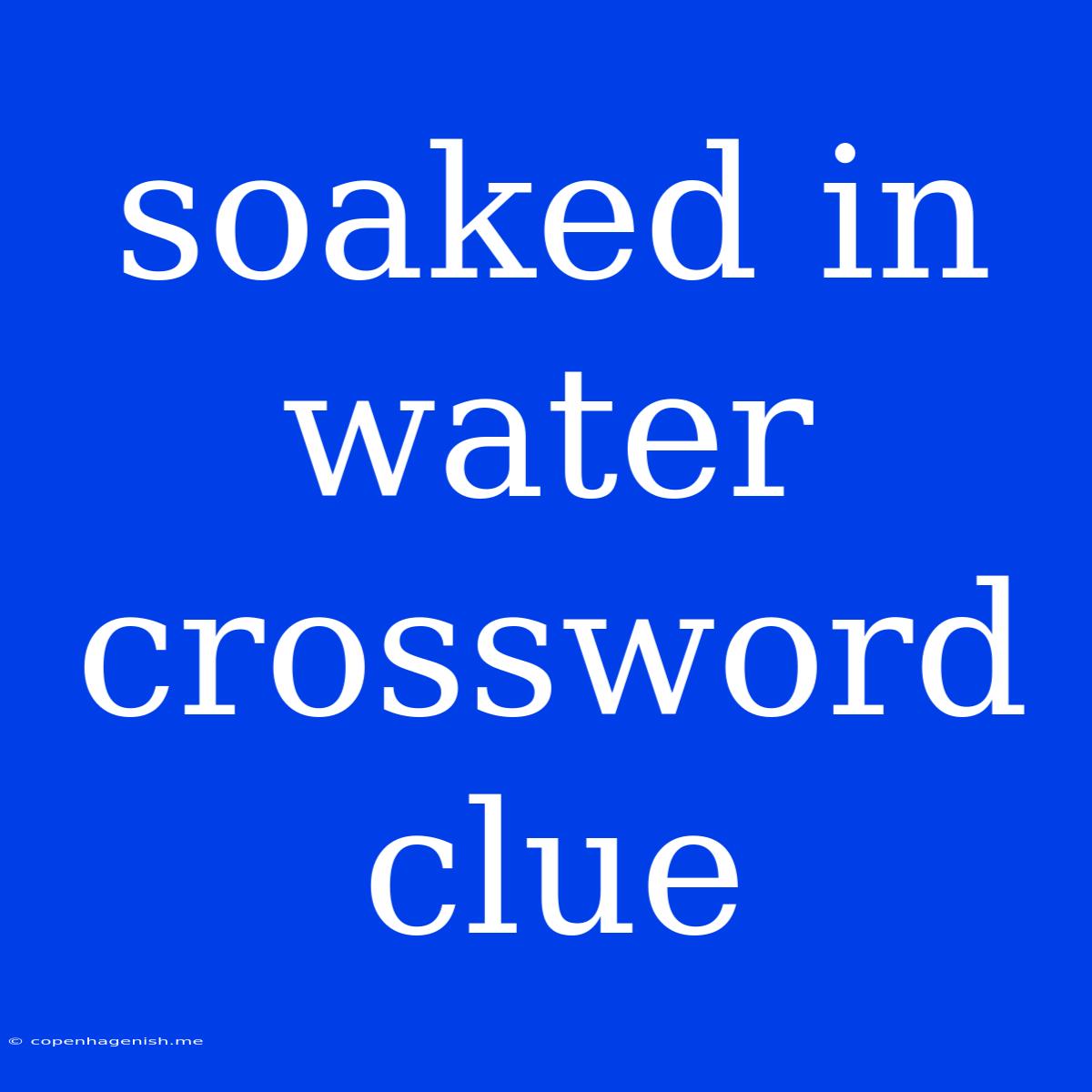 Soaked In Water Crossword Clue