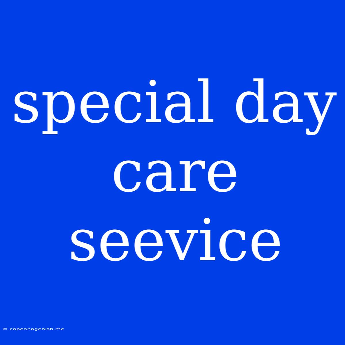 Special Day Care Seevice