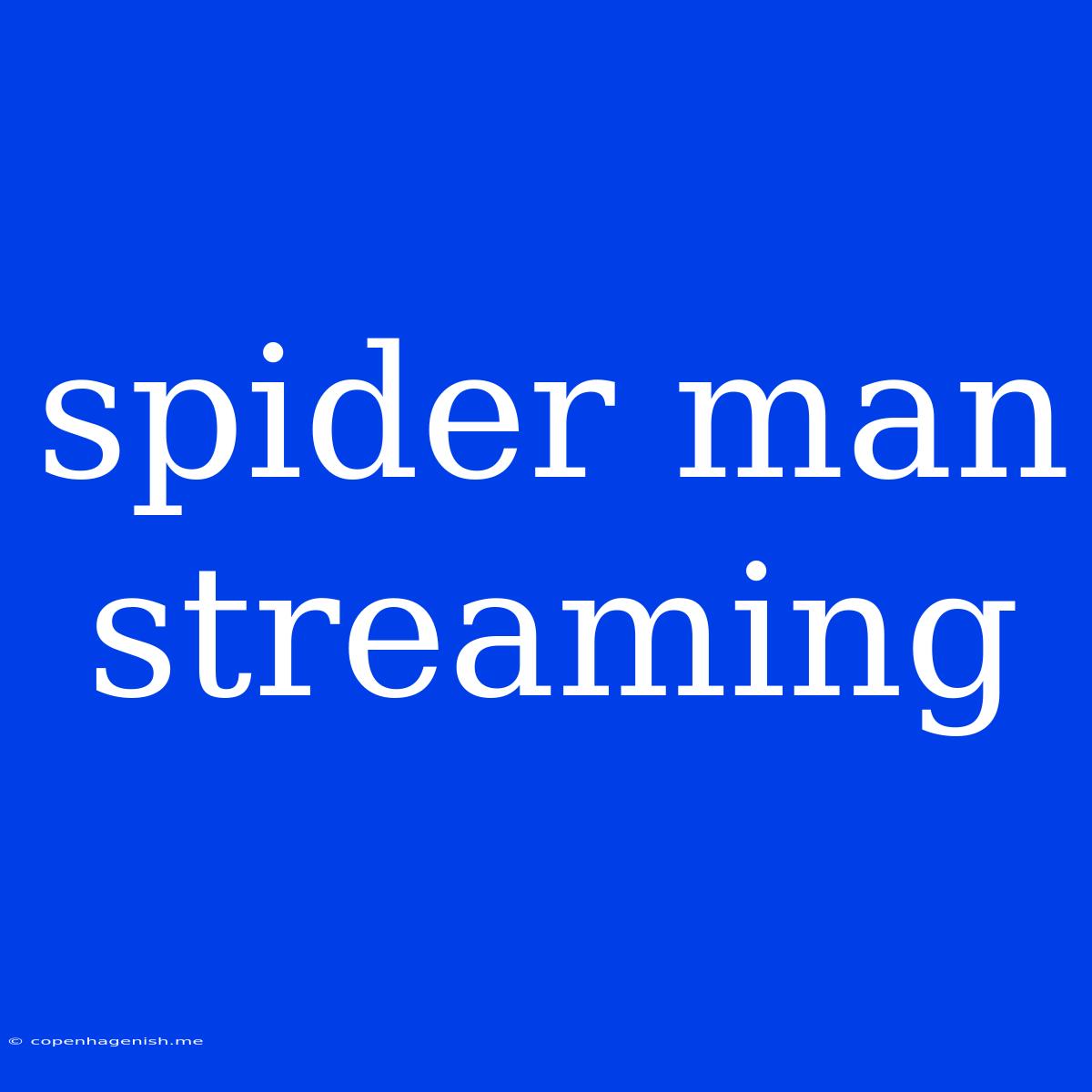 Spider Man Streaming