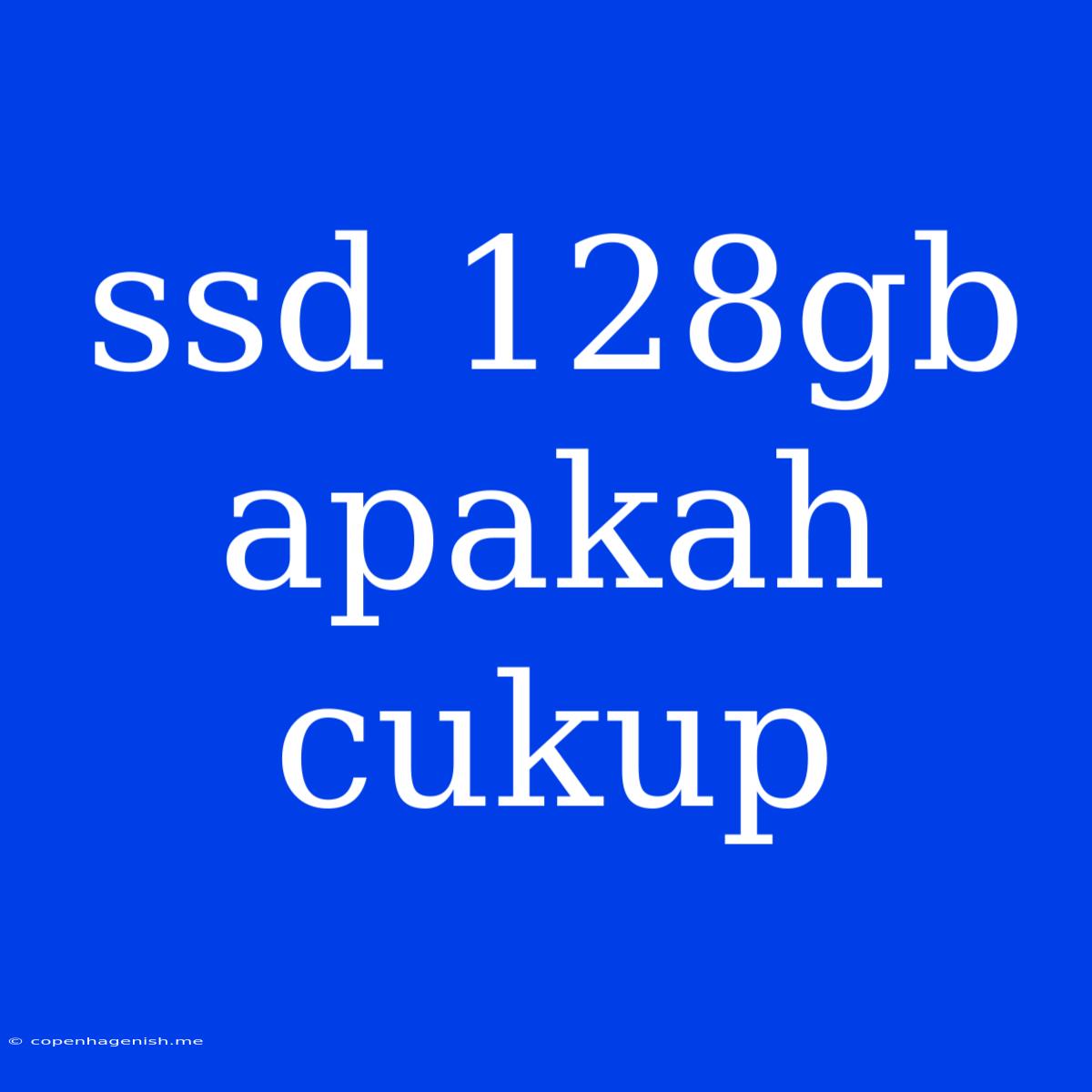 Ssd 128gb Apakah Cukup