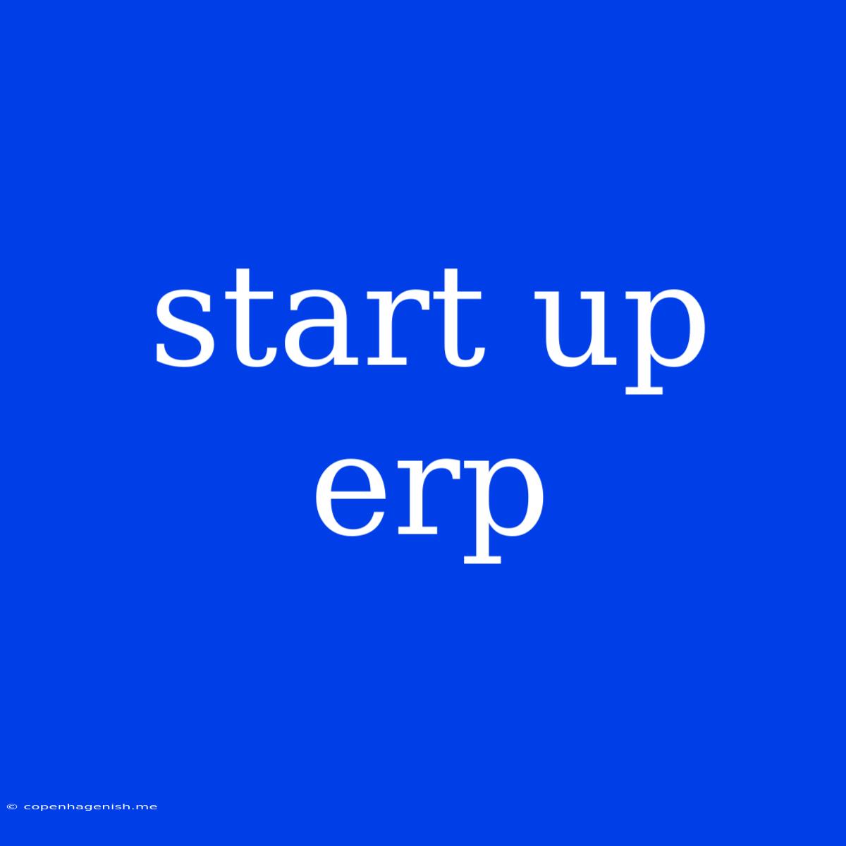 Start Up Erp