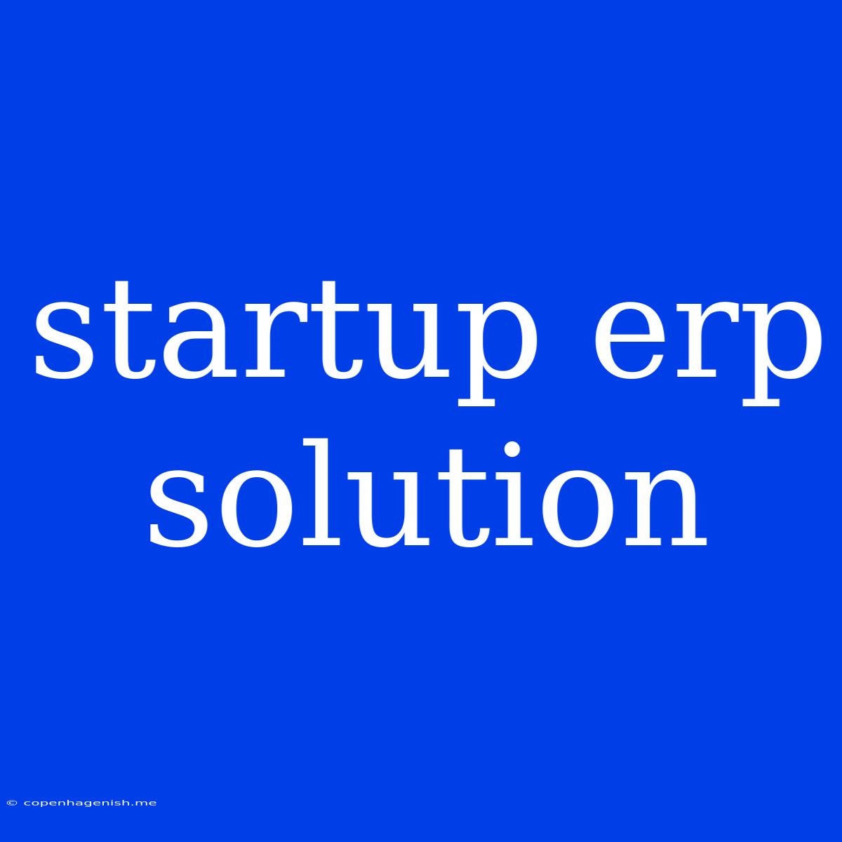 Startup Erp Solution