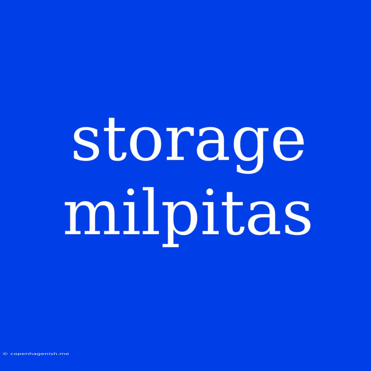 Storage Milpitas