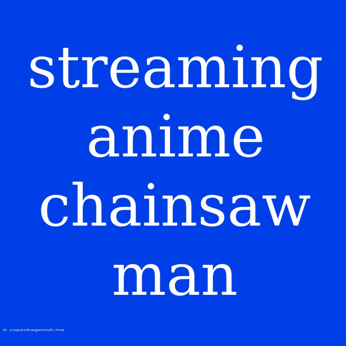 Streaming Anime Chainsaw Man