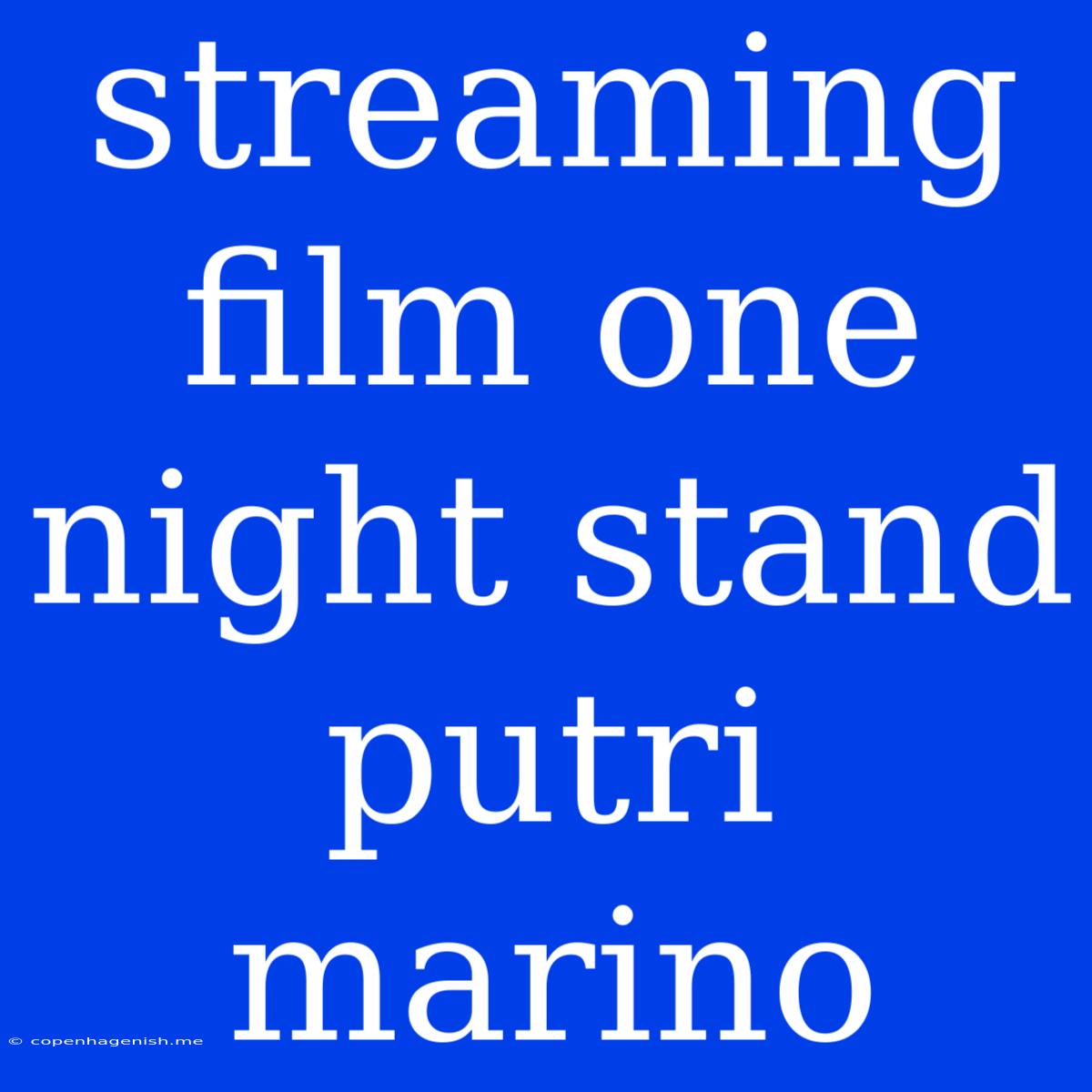 Streaming Film One Night Stand Putri Marino