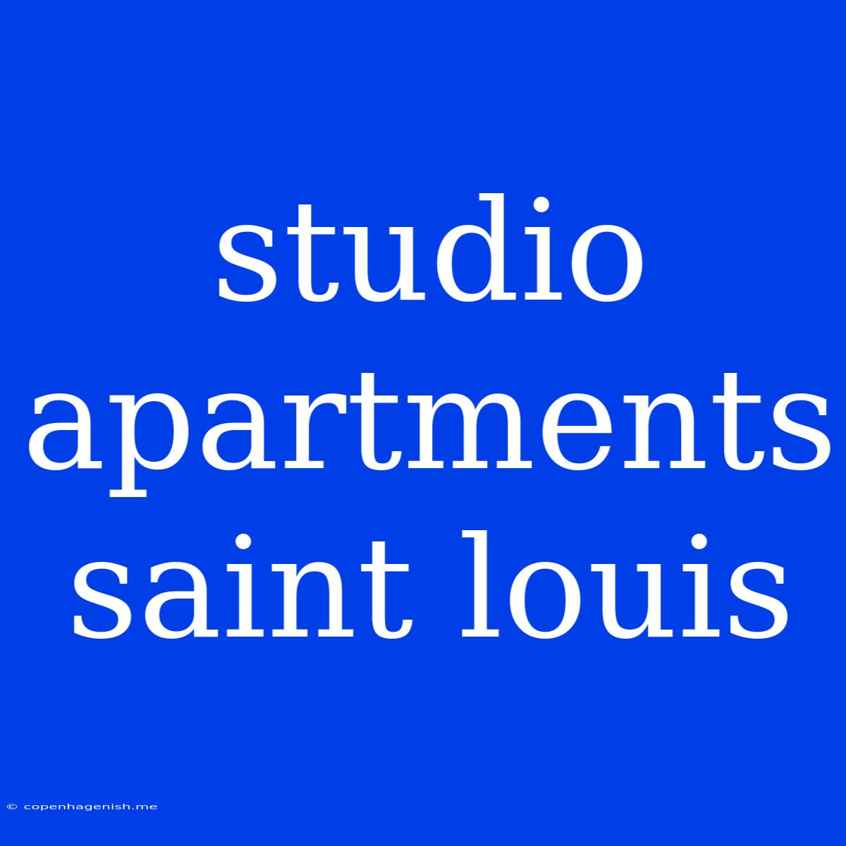 Studio Apartments Saint Louis