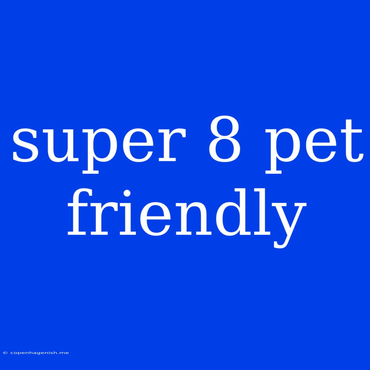 Super 8 Pet Friendly