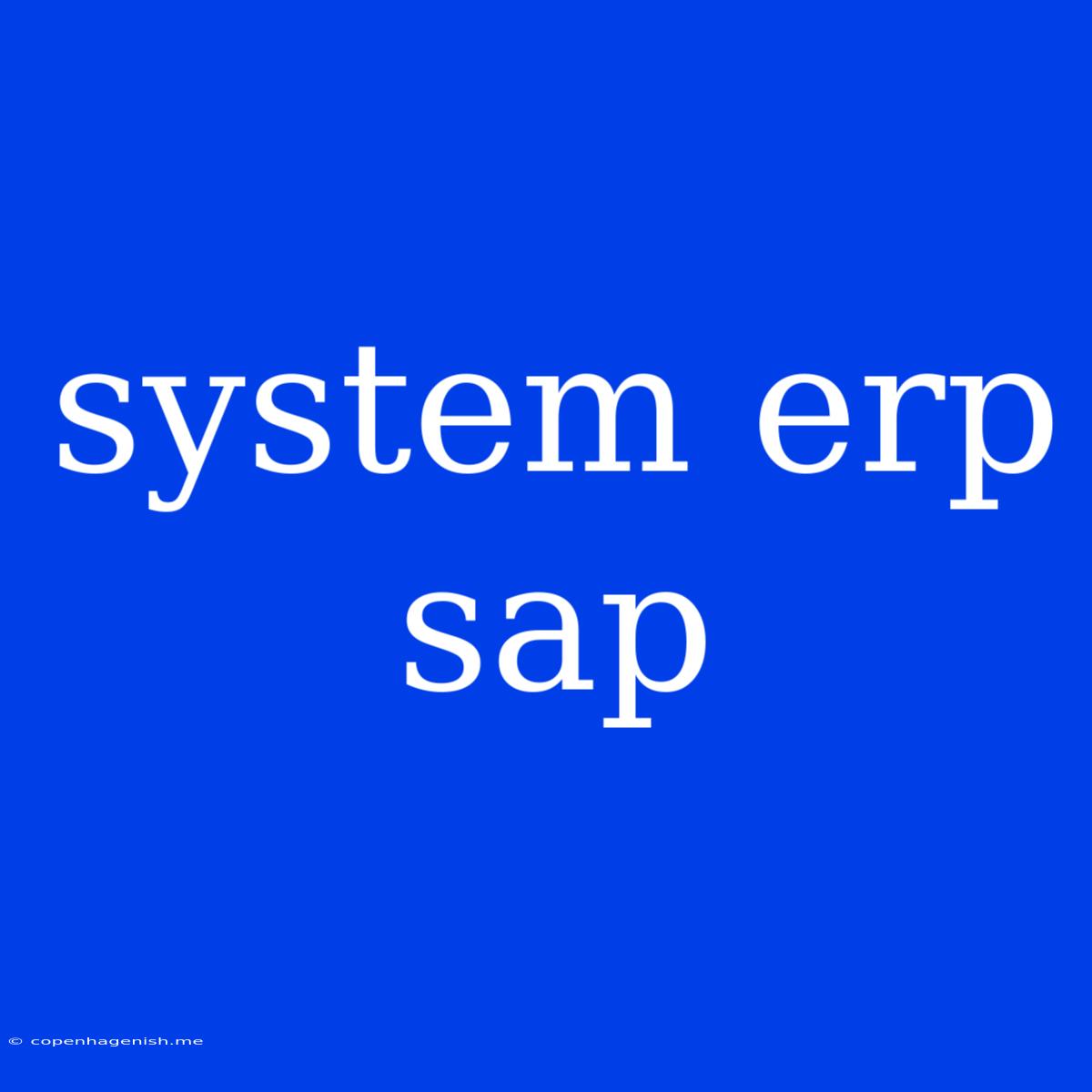 System Erp Sap