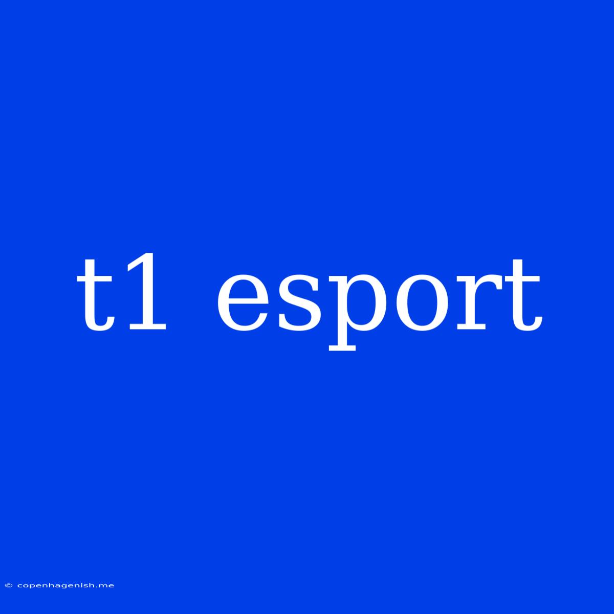 T1 Esport