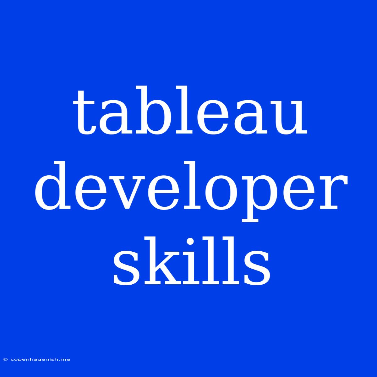 Tableau Developer Skills