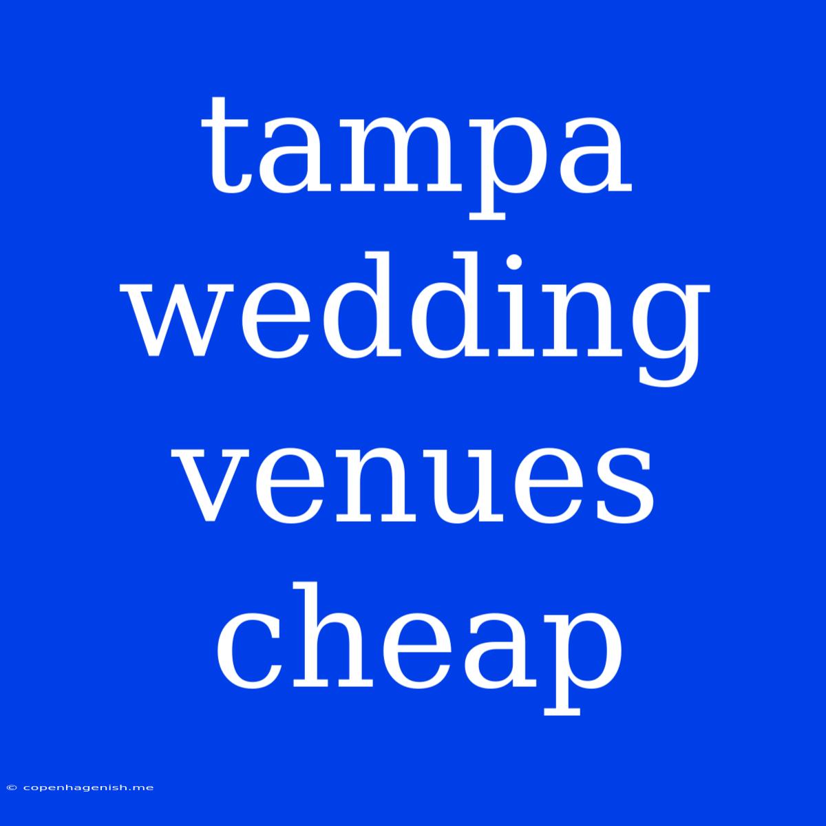 Tampa Wedding Venues Cheap