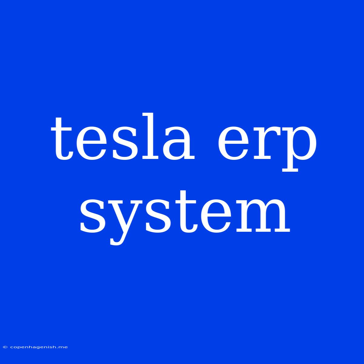 Tesla Erp System