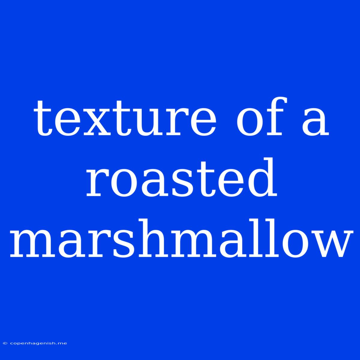 Texture Of A Roasted Marshmallow