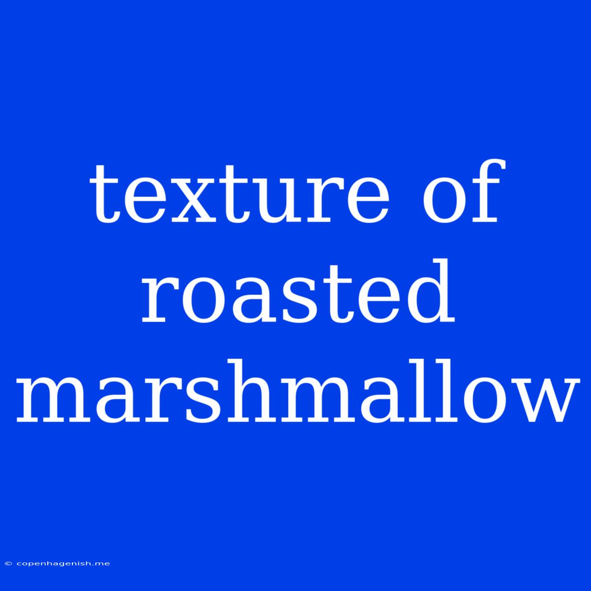 Texture Of Roasted Marshmallow