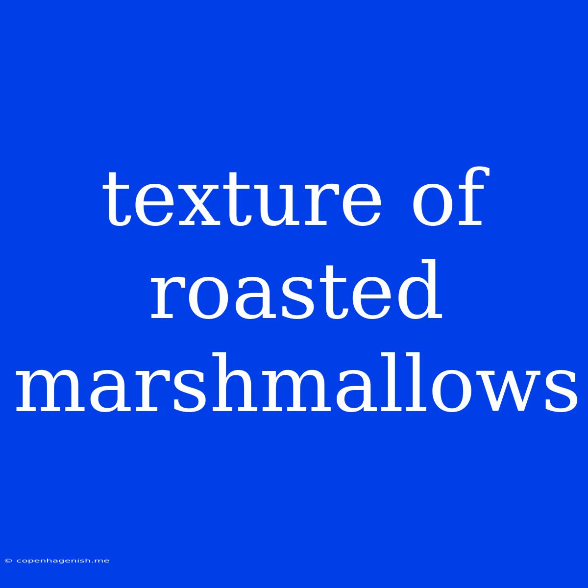 Texture Of Roasted Marshmallows