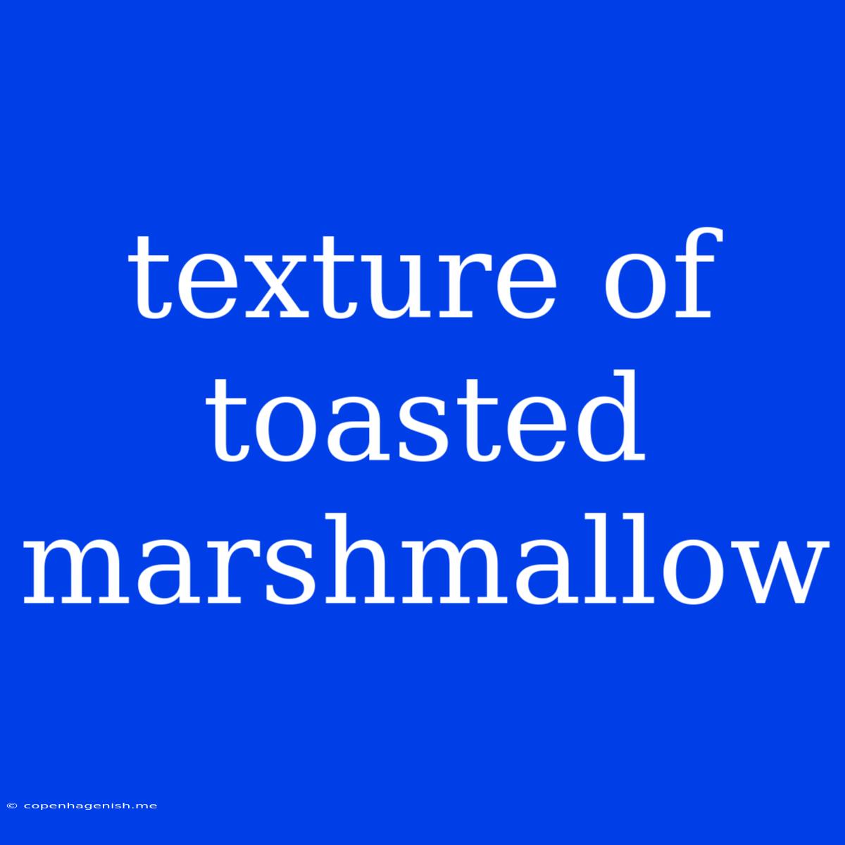 Texture Of Toasted Marshmallow