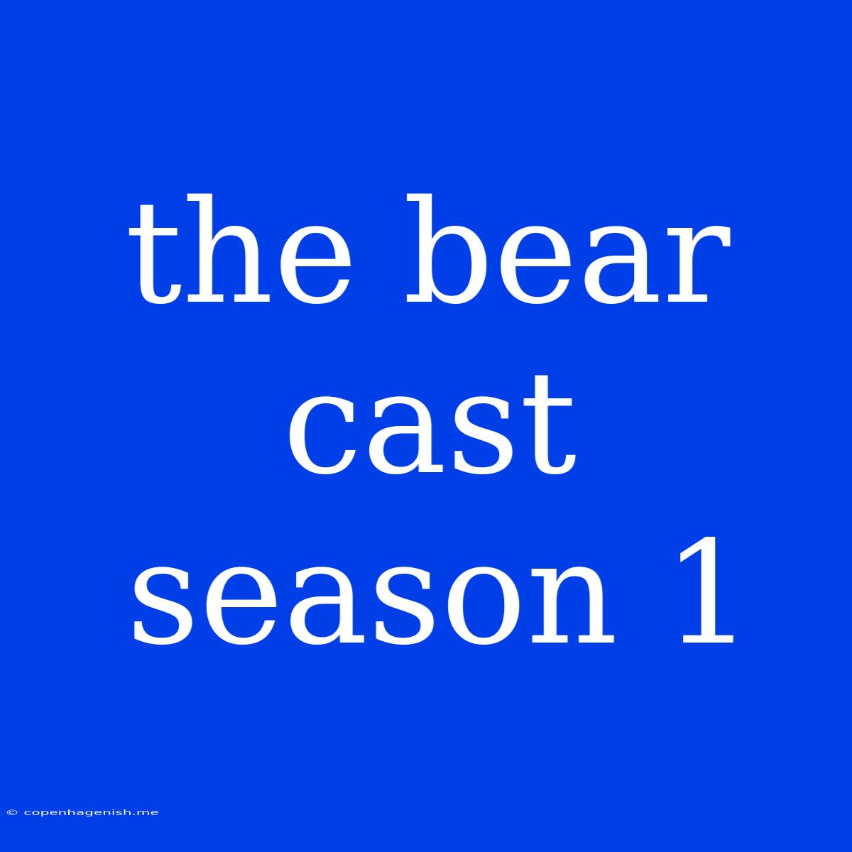 The Bear Cast Season 1