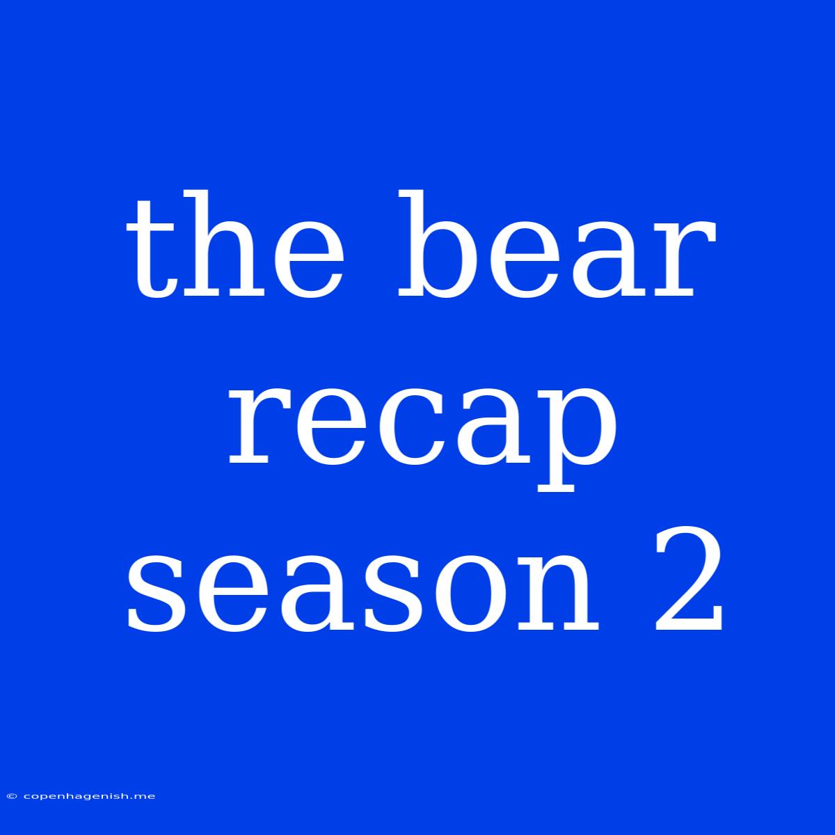 The Bear Recap Season 2