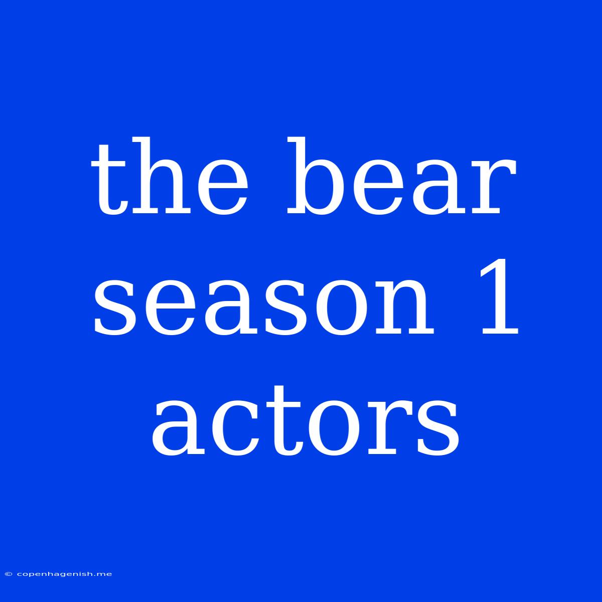 The Bear Season 1 Actors