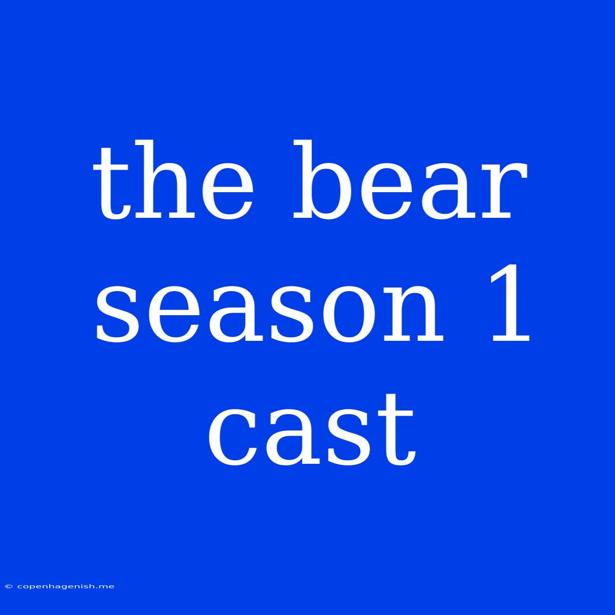 The Bear Season 1 Cast