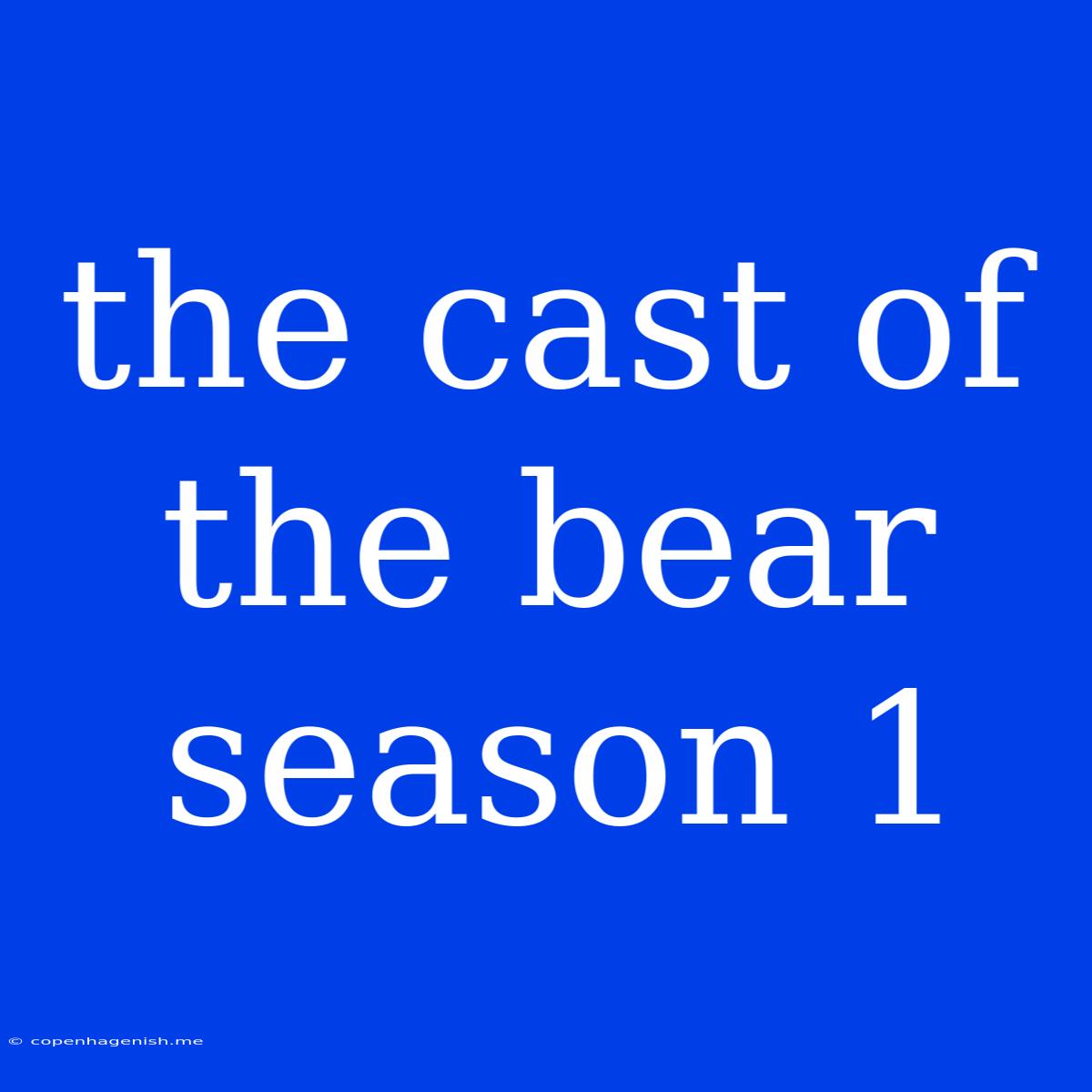 The Cast Of The Bear Season 1