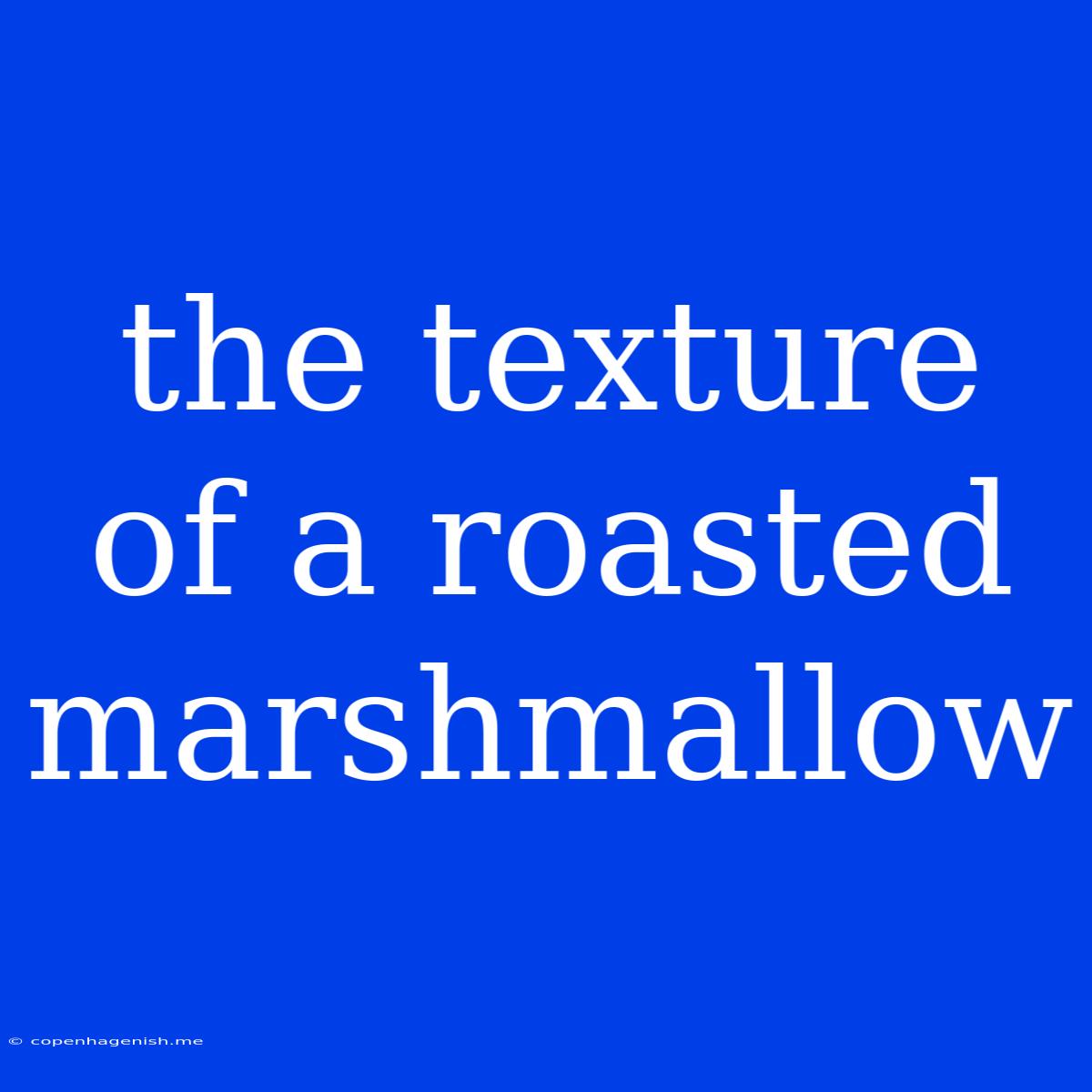 The Texture Of A Roasted Marshmallow