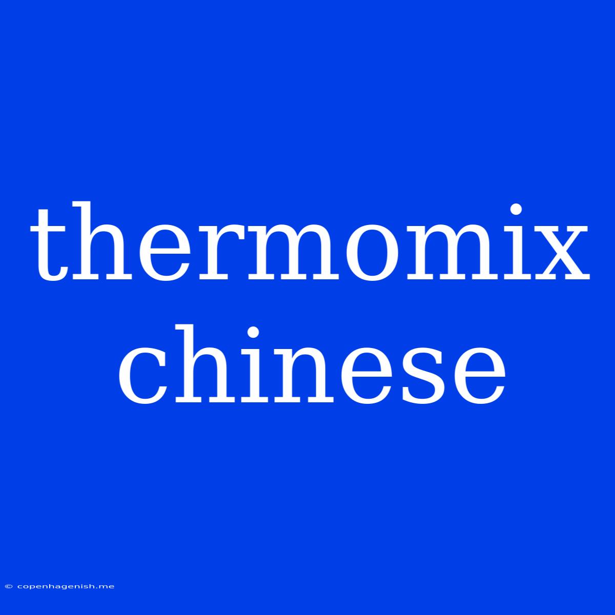 Thermomix Chinese