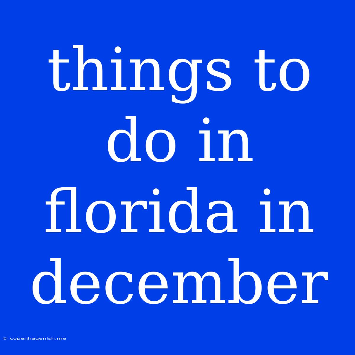 Things To Do In Florida In December