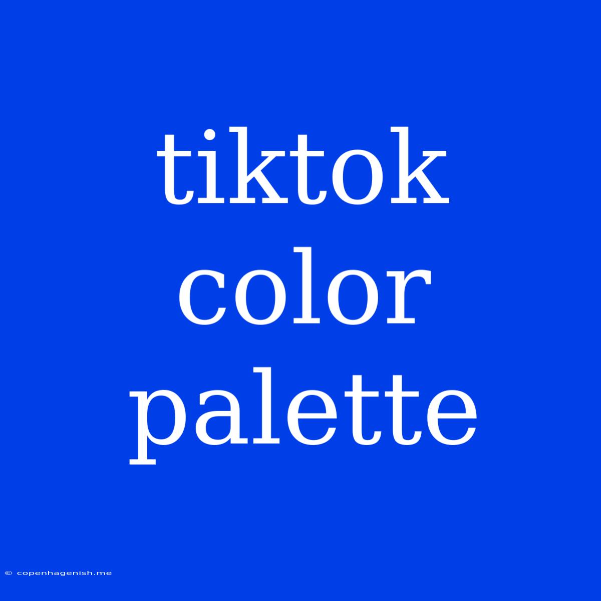 Tiktok Color Palette