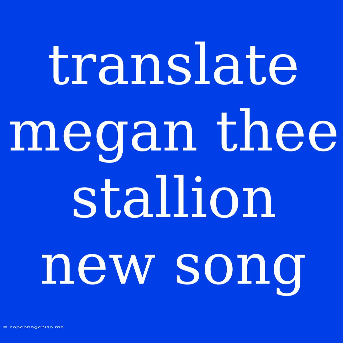 Translate Megan Thee Stallion New Song