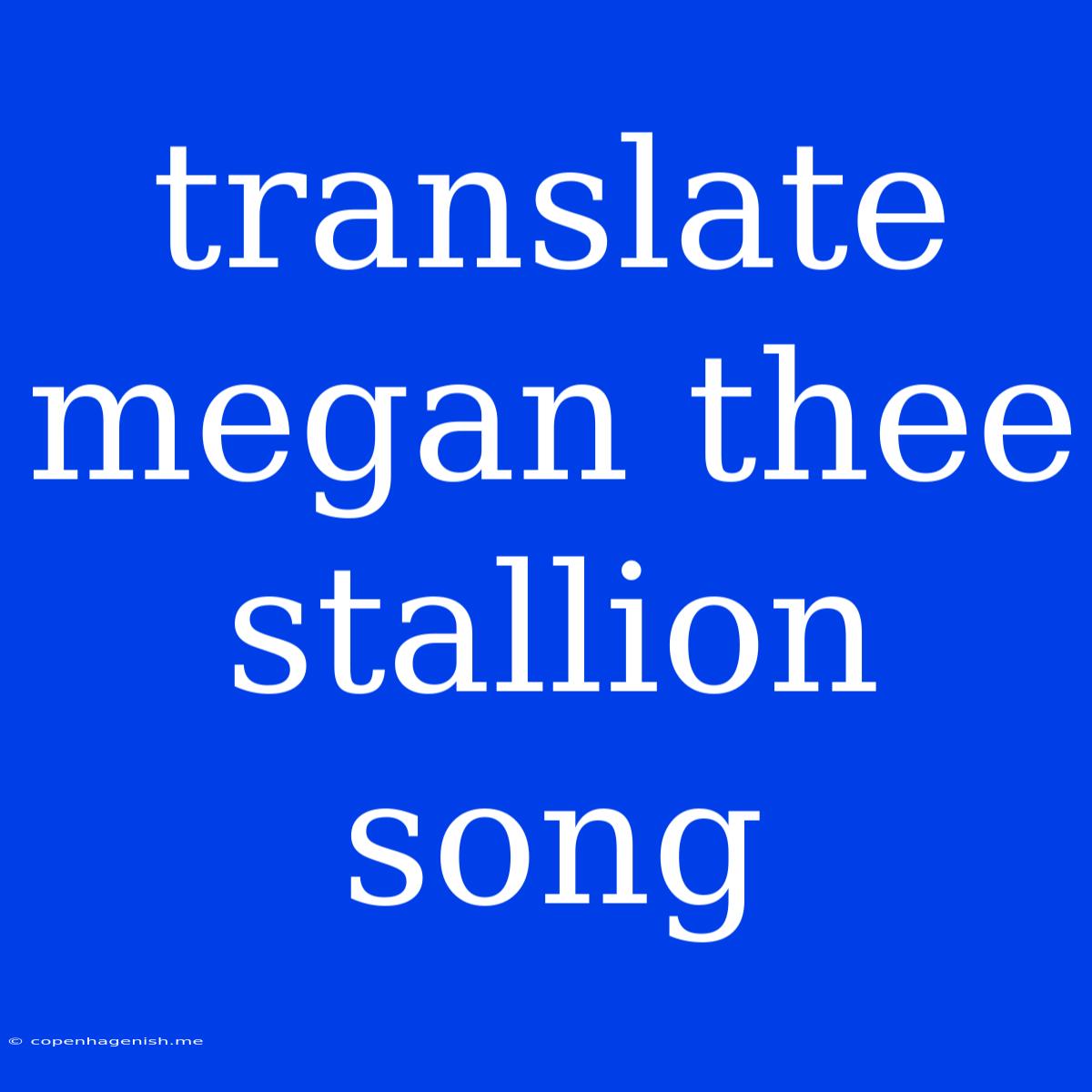 Translate Megan Thee Stallion Song