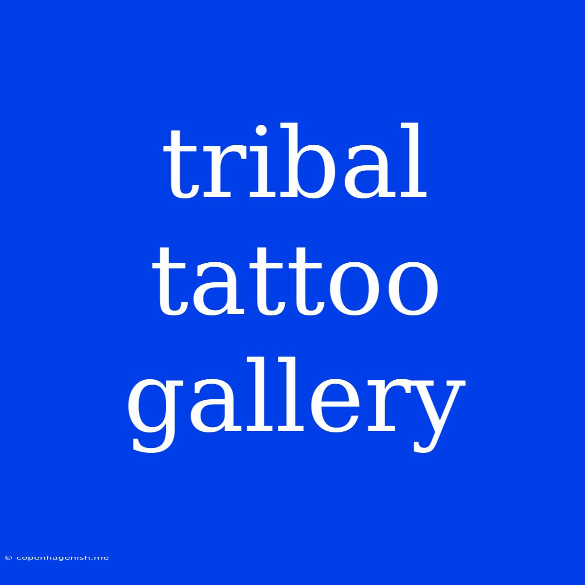 Tribal Tattoo Gallery