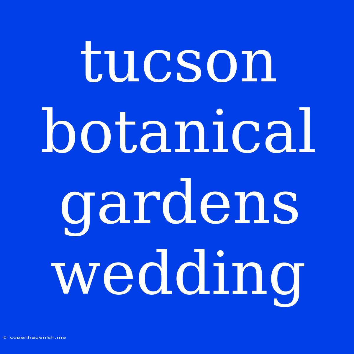 Tucson Botanical Gardens Wedding