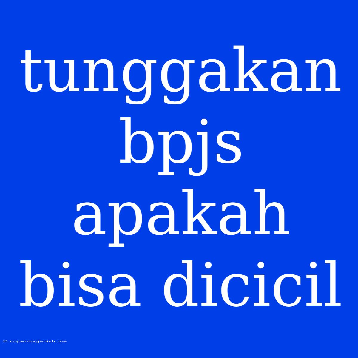 Tunggakan Bpjs Apakah Bisa Dicicil