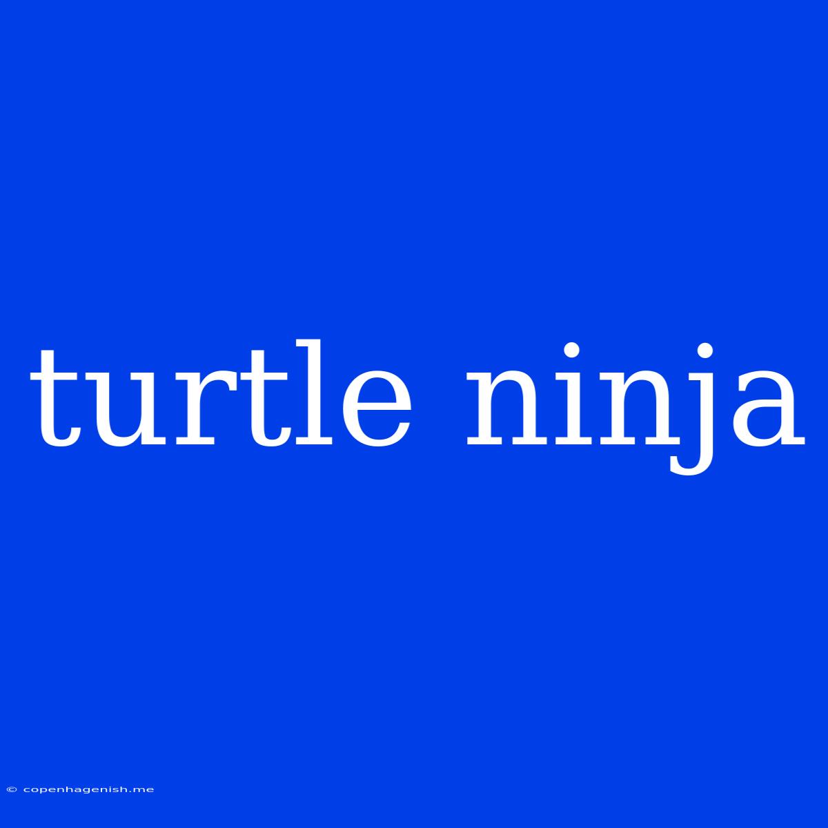 Turtle Ninja