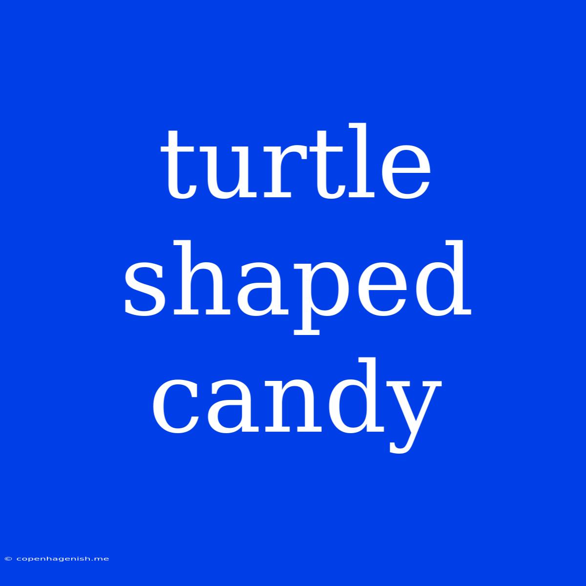 Turtle Shaped Candy