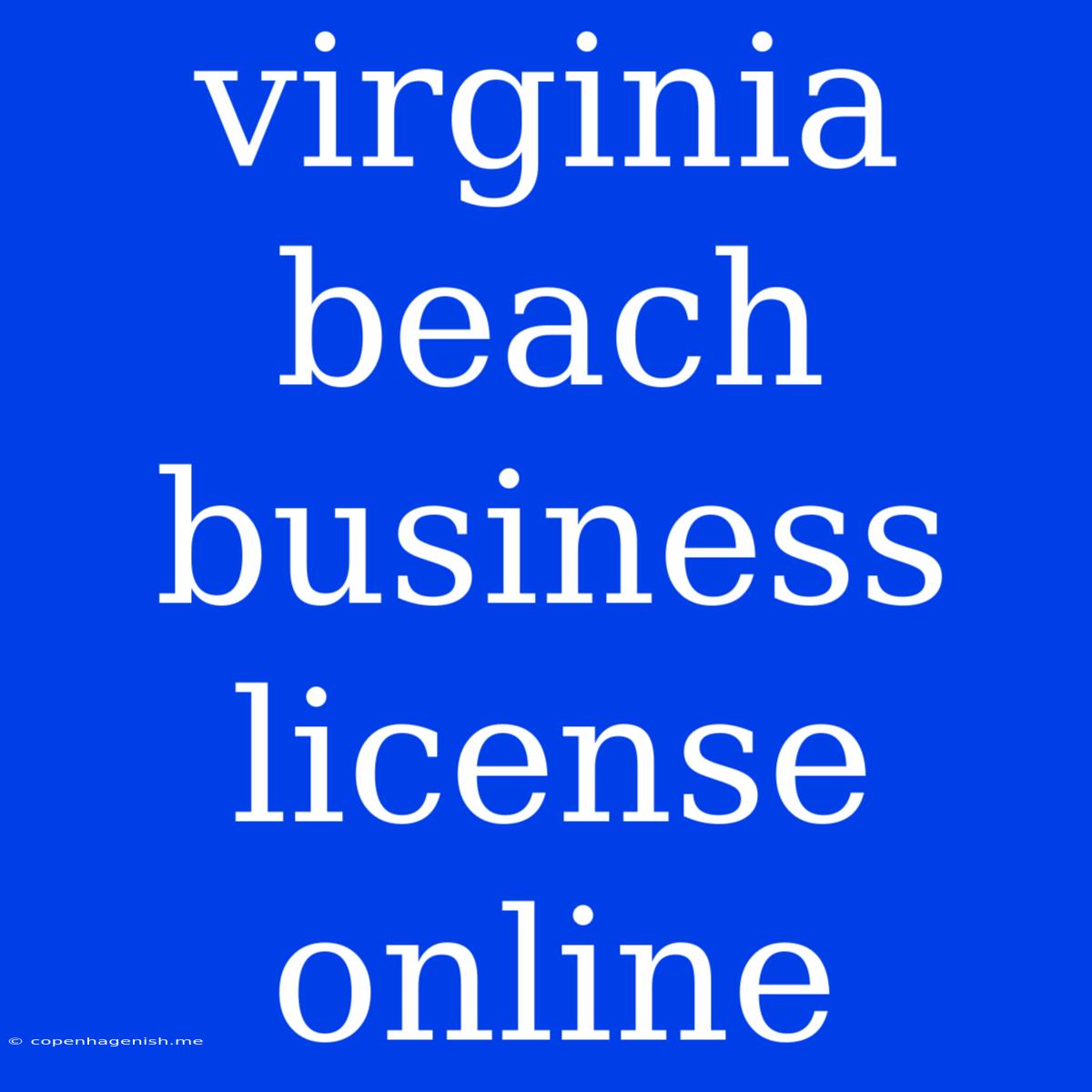 Virginia Beach Business License Online