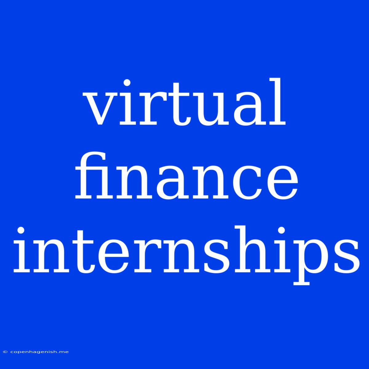 Virtual Finance Internships