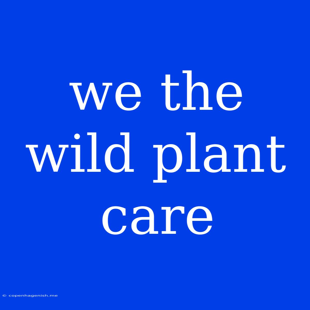 We The Wild Plant Care