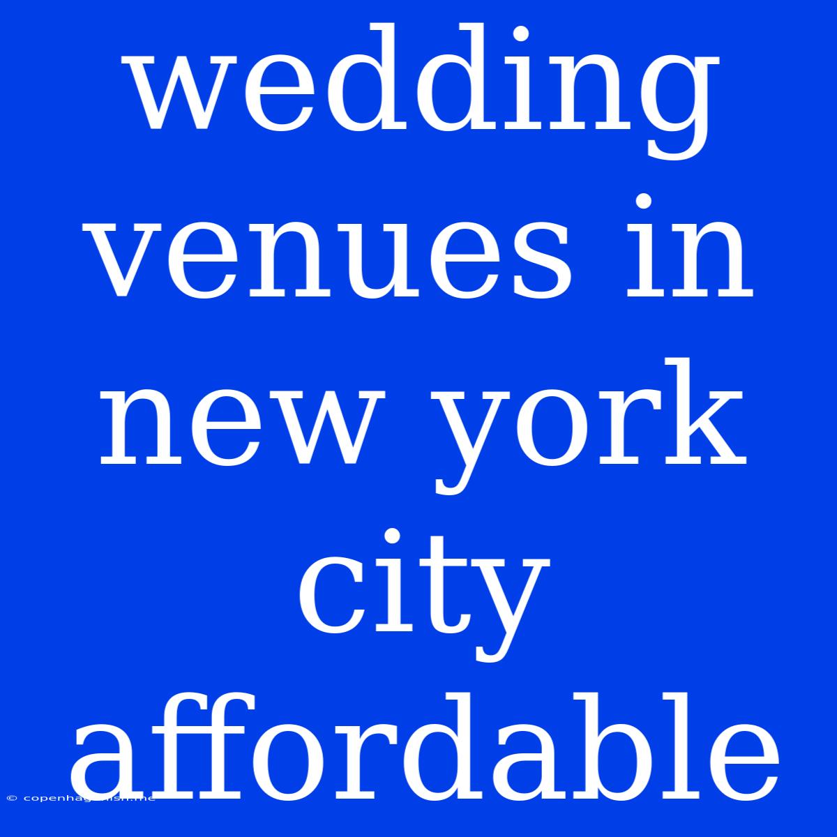 Wedding Venues In New York City Affordable