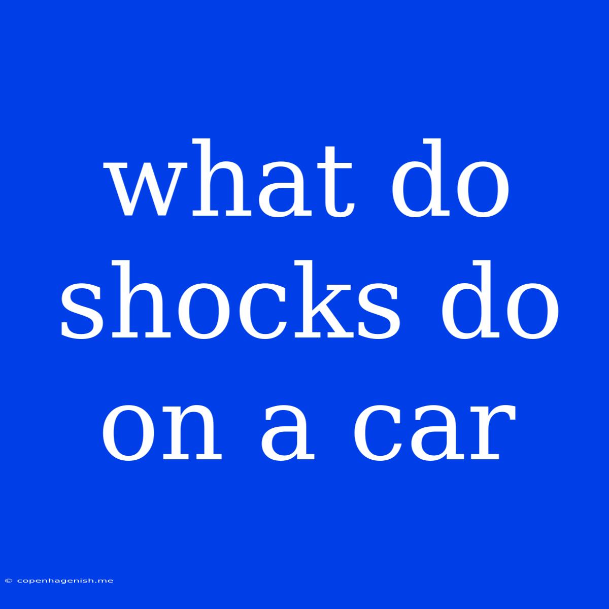 What Do Shocks Do On A Car