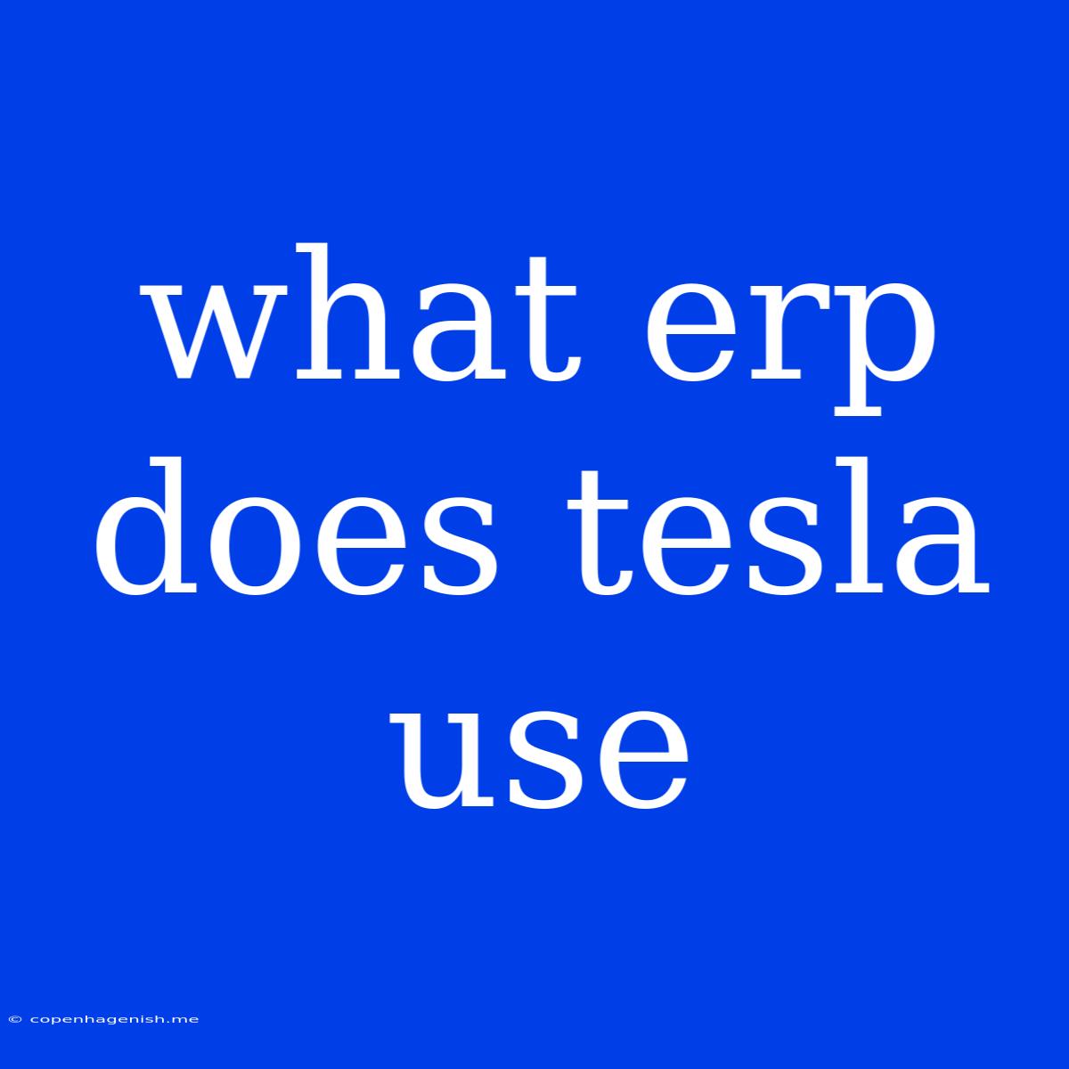 What Erp Does Tesla Use