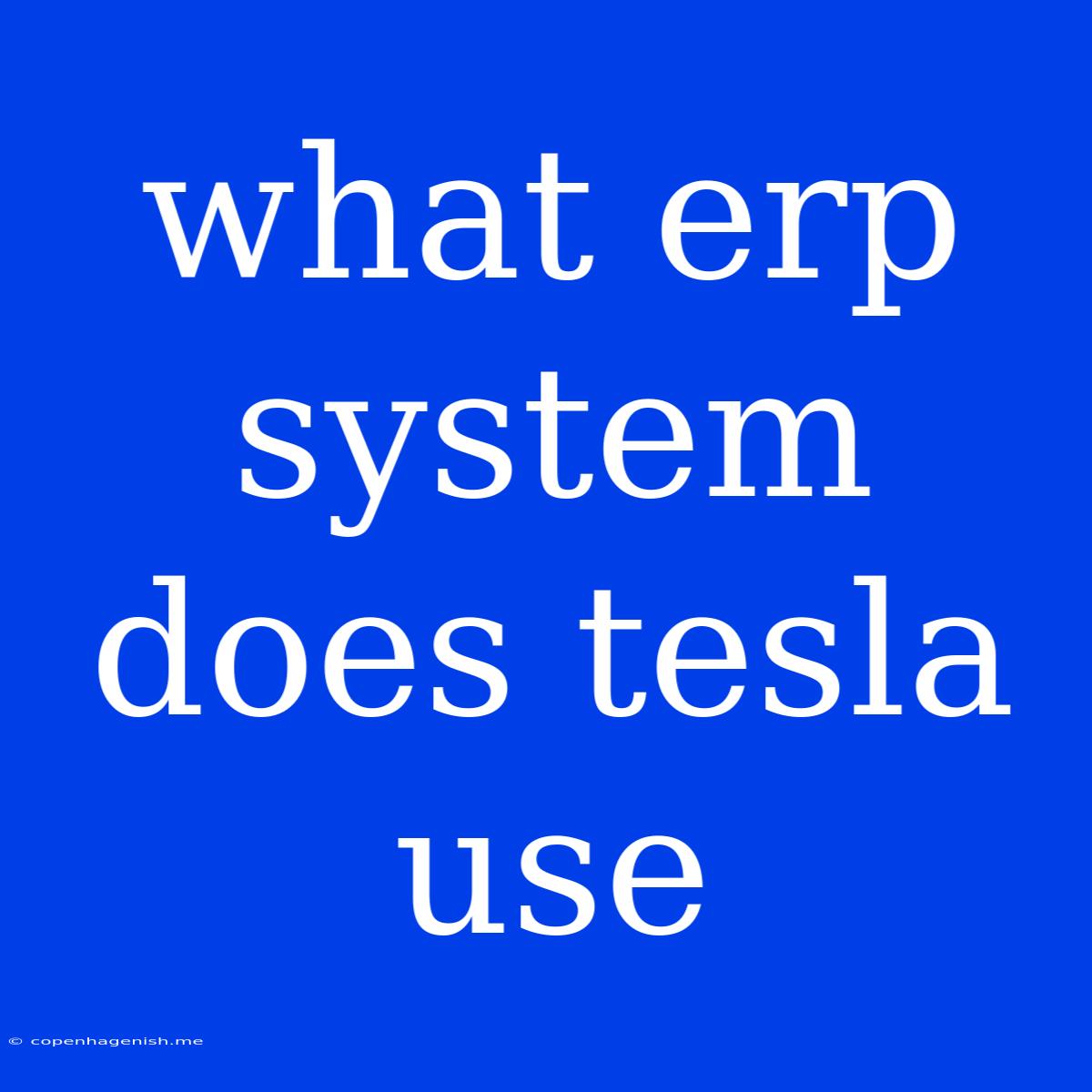 What Erp System Does Tesla Use