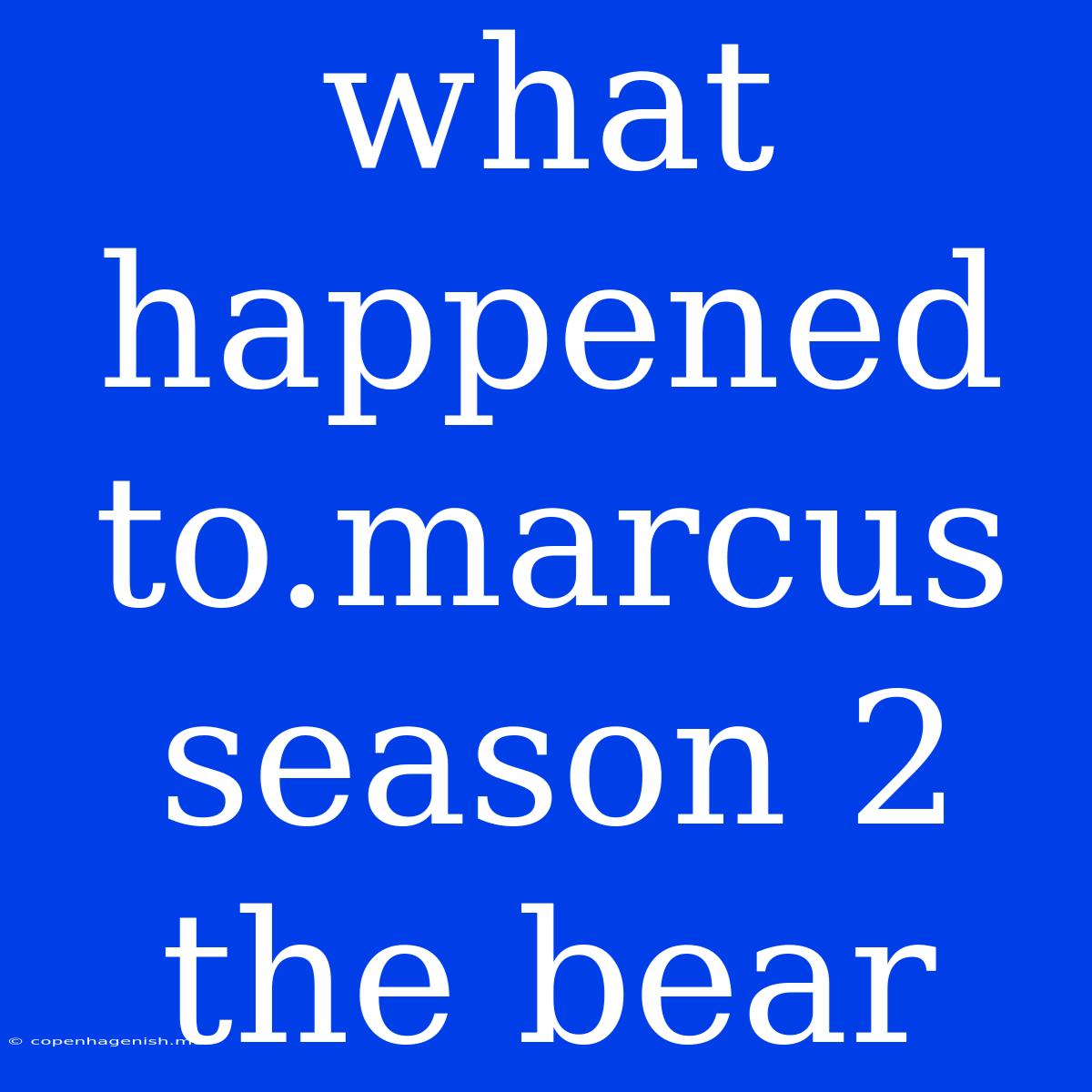 What Happened To.marcus Season 2 The Bear