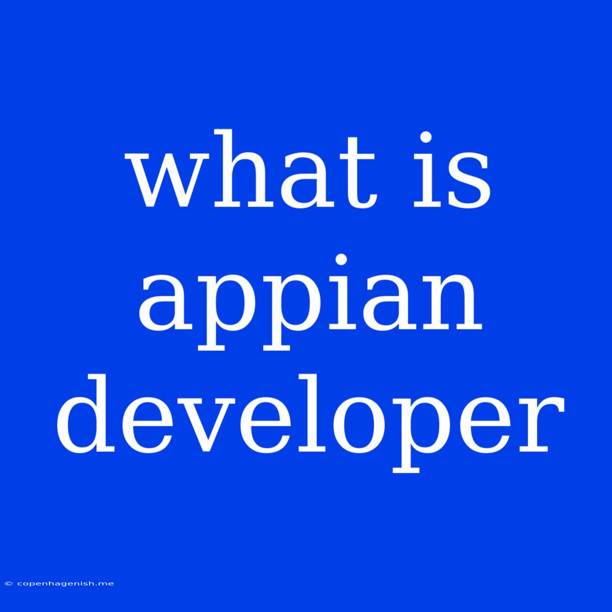 What Is Appian Developer