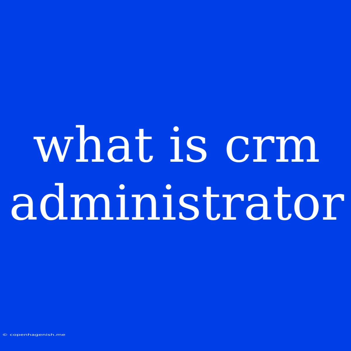 What Is Crm Administrator