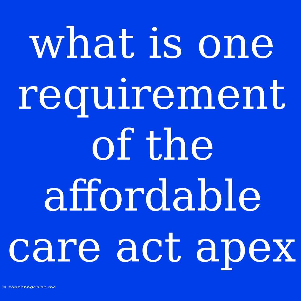 What Is One Requirement Of The Affordable Care Act Apex