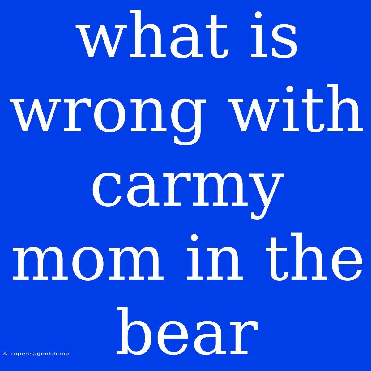 What Is Wrong With Carmy Mom In The Bear